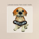 Cães e Gatos Decorativos - Cofres, Porta Canetas e Placa "Bem vindo"