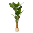 Bananeira Artificial 1,80m Grande Decoração Ambientes Planta