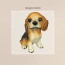 Cães e Gatos Decorativos - Cofres, Porta Canetas e Placa "Bem vindo"